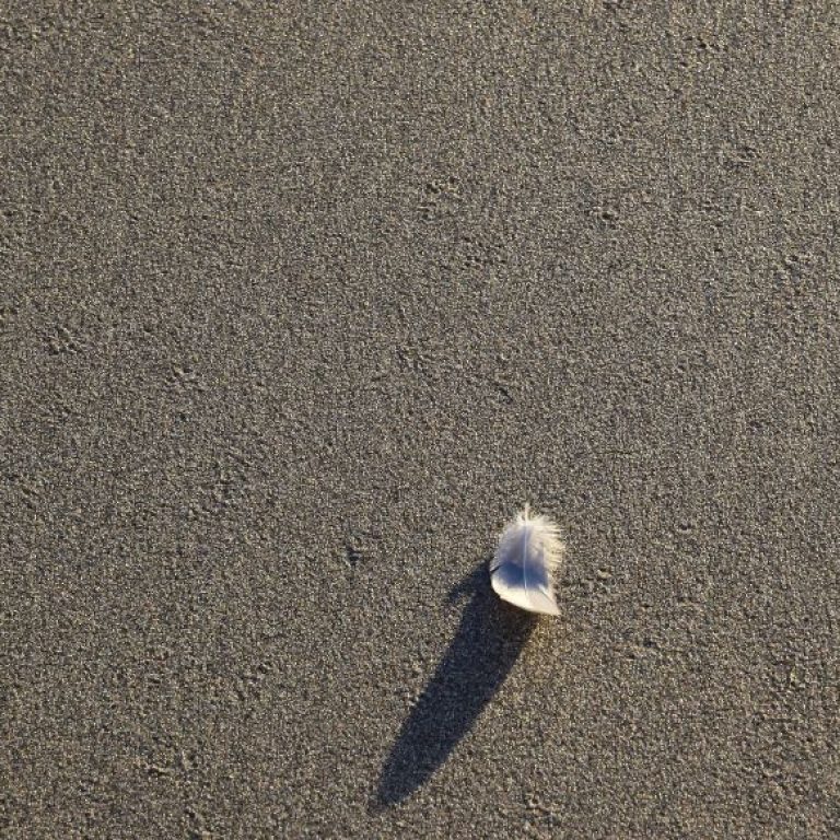 Strand Feder 1024 x 581 px